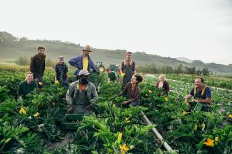 Auf dem Acker Auf dem Acker