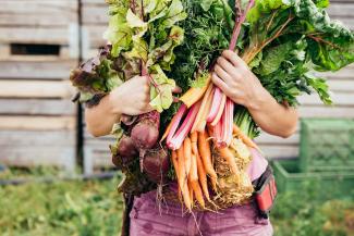 Gemüsestrauß Gemüsestrauß