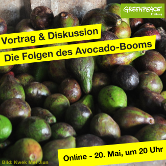 Die Folgen des Avocado-Booms