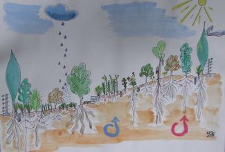 Bäume, Büsche und Gemüse mit ihren Wurzeln und Auswirkung auf das Klima (Sonne und Regen)