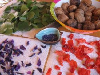 bunte Blüten und Nüsse