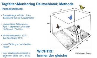 Erklärungsgrafik Tagfaltermonitoring