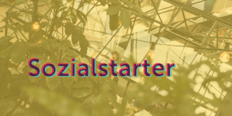 Gründungsprogramm Sozialstarter