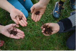 Kinderhände mit Kompostwürmern