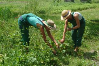 GärtnerInnen Basiskurs