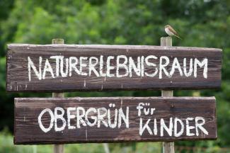 Neuntöter auf dem Schild