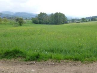 Schutzgebiet Gräblematten am Fuße des Schönbergs