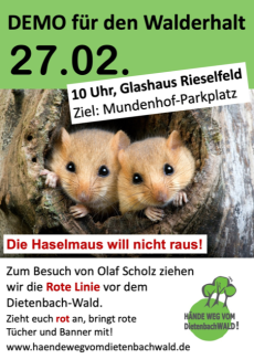 Demo für den Walderhalt 27.02. Start 10 Glashaus Rieselfeld. Bild zwei Haselmäuse in einer Baumhöhle