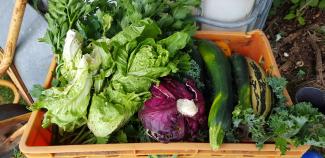 Küche für alle im HdE!