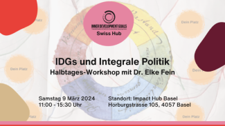 IDGs und Integrale Politik