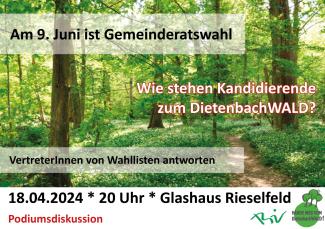 Foto mit Wald im Frühjahr