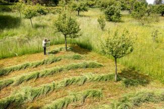 Sensen-Halbtageskurs