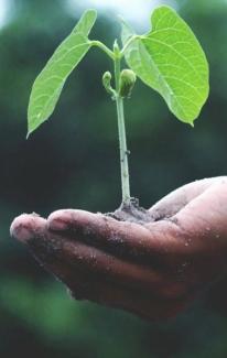 Krise & Du 11.-13.Okt im Schwarzwald