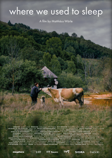 Das Poster des Films: Eine Frau in einer Sumpflandschaft vor einem einfachen Haus, die eine Kuh streichelt