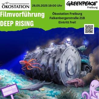 deep rising freiburg