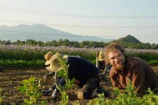 Jätarbeit auf Piluweri-Acker