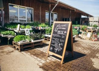 Hof der Gärtnerei Piluweri mit Tischen mit Jungpflanzen und einer Tafel mit Preisinfos