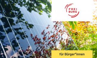 Photovoltaikmodul