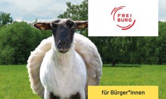 Schaf und Logo der Stadt Freiburg