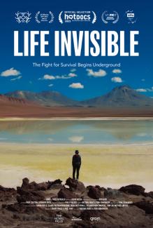 Das Poster des Kurzfilms „Life Invisible“. Vor einer kargen Berg- und Salzlagunenlandschaft steht eine einzelne Person mit dem Rücken zum Betrachter auf dunklen Felsen. Über dem Foto steht der Titel in großer, weißer Schrift unter mehreren Festival-Lorbeeren, während im unteren Bereich die Namen der Mitwirkenden und Produktionslogos angeordnet sind.